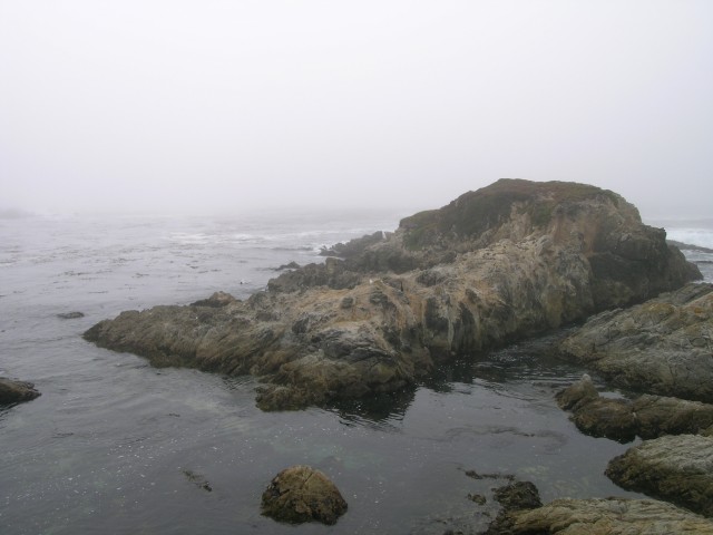 DSCN1423