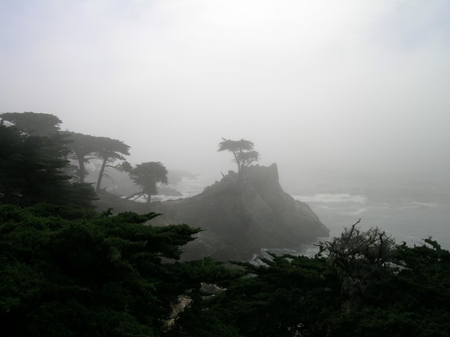 DSCN1426
