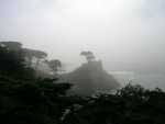 DSCN1426