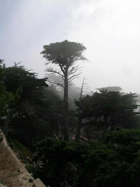 DSCN1427