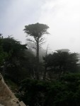 DSCN1427