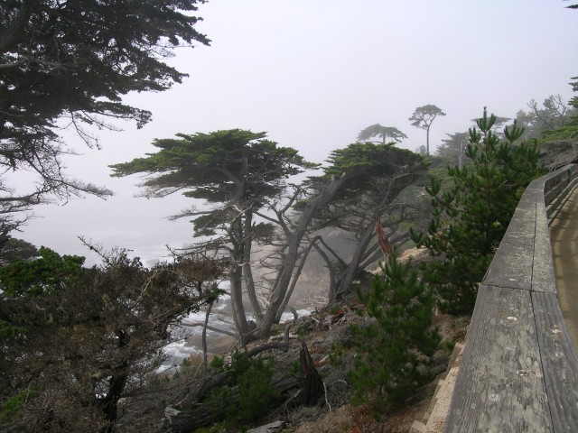 DSCN1428