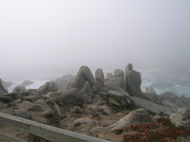 DSCN1429