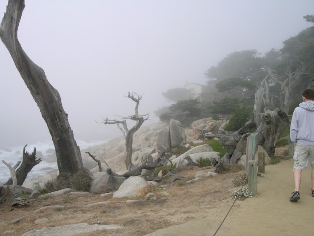 DSCN1438