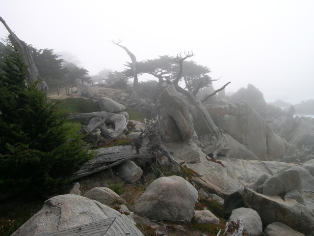 DSCN1439