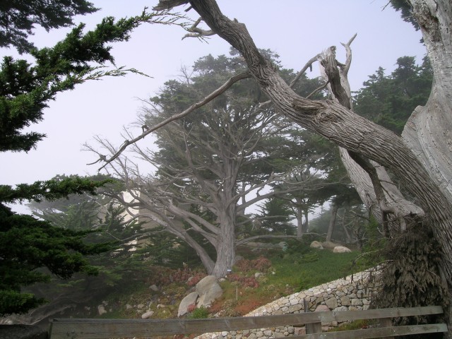 DSCN1440