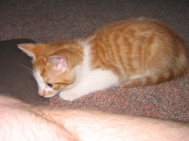 IMG 0403
