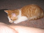 IMG 0403