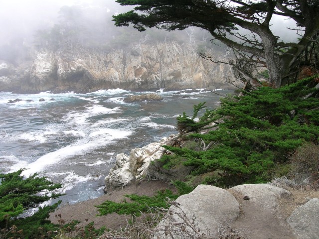 DSCN1442