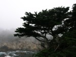 DSCN1443