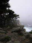 DSCN1444
