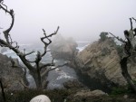 DSCN1448