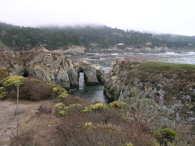 DSCN1486