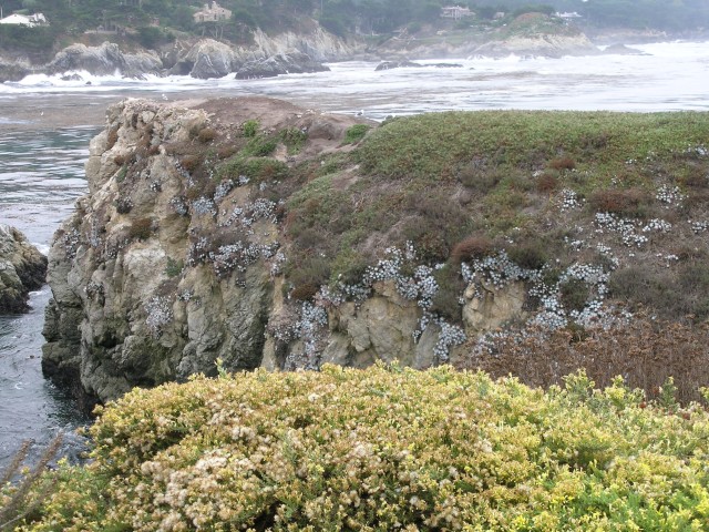 DSCN1488