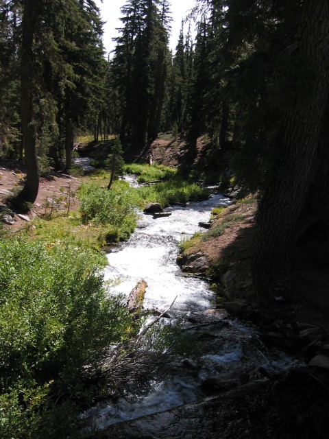 King's Creek, from the main road through the park
