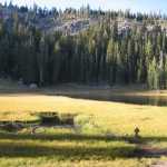 Cold Boiling Lake