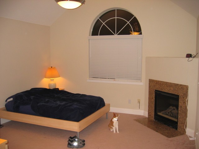 Bedroom + cat