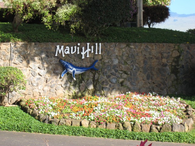 Maui Hill, where we stayed.
