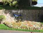 Maui Hill, where we stayed.