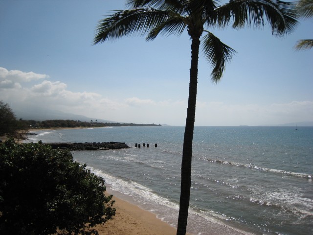 View from my aunt and uncle's condo.