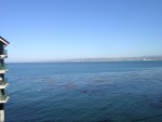 DSCN1408
