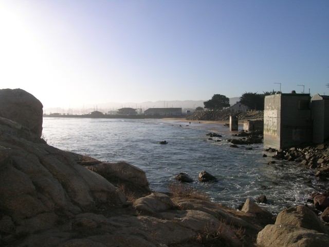 DSCN1419
