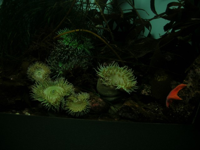 DSCN1394