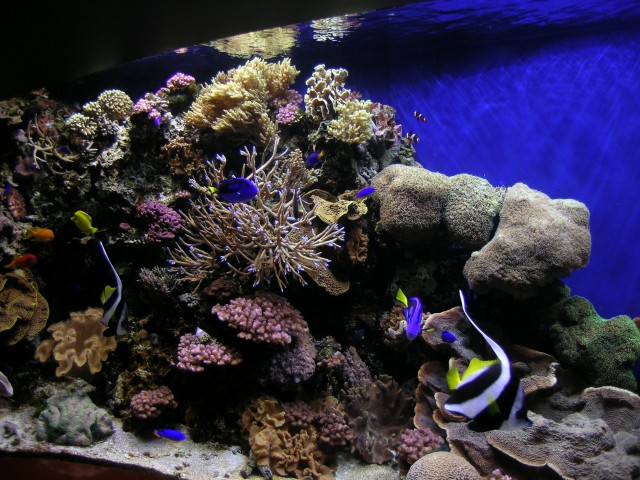DSCN1401