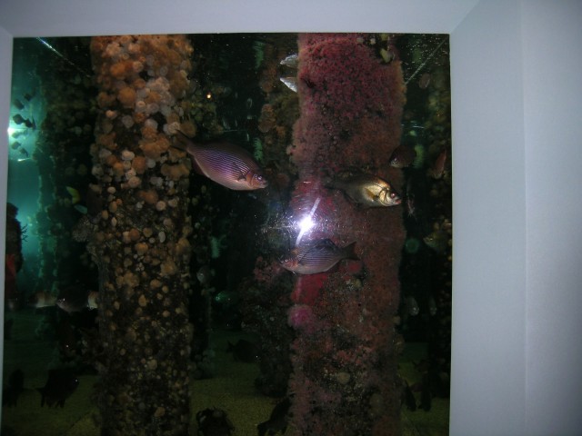 DSCN1405