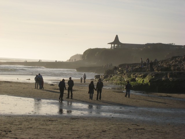 IMG 0084