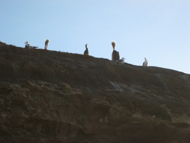 IMG 0090