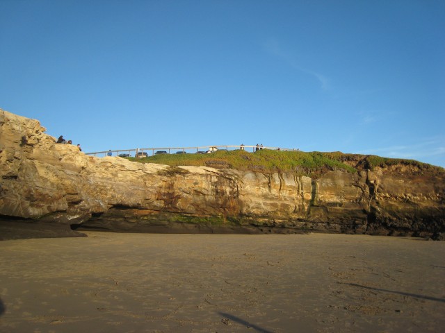 IMG 0091