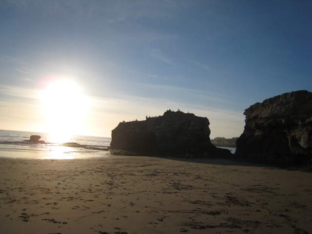 IMG 0093