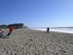 DSCN1267