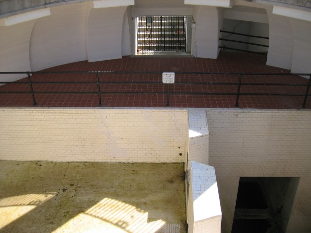 IMG 1618